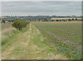Looking towards the River Eau near Northorpe in DN21 4AA