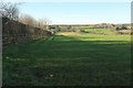 Field beside Juliots Well Holiday Park in PL32 9RR