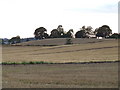 Harvested fields, close to Woodhill in DD7 7RR