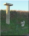 Guidepost and cross by the B3266 in PL30 3PF