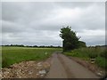 Unfenced road near Hall's Farm in BA14 6HS