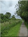 Approaching Bradford-on-Avon on the canal towpath in BA15 1UP