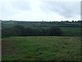 Grazing near Penmennor Farm in TR19 6BD