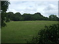 Grazing and woodland near Trereife in TR18 5QW