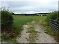 Meadow in the floodplain of the River Severn in SY21 8AE