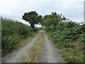 Field access track from Lowe Luggy farm in SY21 8AE