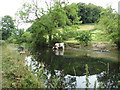 Part of the Montgomeryshire Canal near Berriew in SY21 8AW
