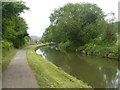 Canal towpath south of Conkwell Wood in BA2 7JH