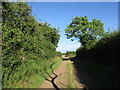 Bridleway approaching Hockerton Lane in Upton (Newark and Sherwood)