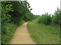 Path in Hinchingbrooke Country Park in PE29 6XZ