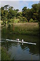 Rowers on the River Avon in BA1 9AB