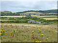 Farm buildings near Brook in PO30 4EH