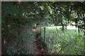 Footpath from Mickleham to the A24 in RH5 6ET
