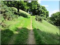 Path to Bishop Hill, Lomond Hills in KY13 9HZ