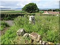 Wester Balgedie trig pillar in KY13 9NE