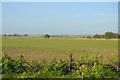 Flat farmland in TN29 9SY