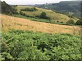 Countryside above Graigwen in CF37 2EQ