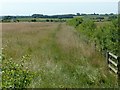 Field footpath near Smalley in Smalley