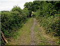 Frome Valley Walkway near Iron Acton, South Gloucestershire in BS36 2NS
