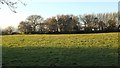 Field near Pendrift #2 in PL30 4JJ