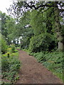 Path in Beth Chatto Gardens in CO7 7EX
