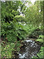 Elmstead Brook at Beth Chatto Gardens in CO7 7EX