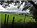 View to High Farm from Riggs Low Road in S6 6GU