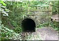 The Daneway Portal of the Sapperton Tunnel in GL7 6LQ