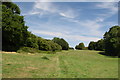 Path through a meadow in CO9 3DT