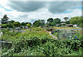 Dereham Allotment Gardens in NR19 2DG