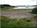 Beach in Carsington Reservoir in DE6 1ST