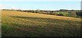 Field above Watergate in EX37 9PY