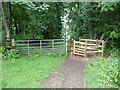 Entrance to Pinchcombe Wood in GL6 6ED