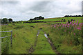 Footpath heading West from Broad Head Farm in BB1 9PG