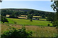 Fields below Ty Mawr, seen from the canal in NP8 1HT