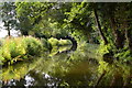 Summer morning light on the Monmouthshire and Brecon Canal in NP7 9HF