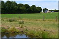 Fields below Bryn, from the Monmouthshire and Brecon Canal in NP4 8RH