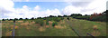 Plantation Panorama; Epping Forest Buffer Lands in EN9 3ST