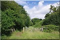 Gate and Path Past Cobbin Pond in EN9 3LE