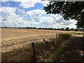 Bridleway and Stubble Field on the Fringes of Edenthorpe in DN3 2LS