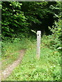 Waymark on the Laurie Lee Wildlife Walk in GL6 7LA
