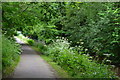 Monmouthshire and Brecon Canal towpath just south of Cwmbran Tunnel in NP4 5BZ