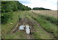 Deeply rutted Covert Lane towards Ingarsby in LE7 9HG