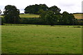 View across field north of Llanfrynach in LD3 7AQ