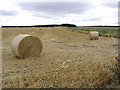 Harvest Bales in Togston