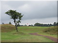 Monifieth Ashludie 3rd hole, Silver Jubilee in DD5 4AR