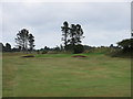 Monifieth Ashludie 8th hole, Eastward Ho in DD5 4AR