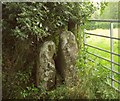 Two gateposts, Gidleigh in TQ13 8HP