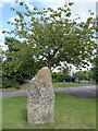 Portbury Standing Stone in BS20 7TZ