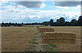 Path across farmland to Oadby in LE2 4FS